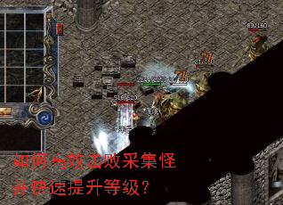 如何高效击败采集怪并快速提升等级? 如何高效击败采集怪并快速提升等级?