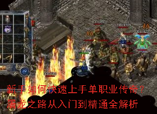 ������ο������ֵ�ְҵ���棿����֮·�����ŵ���ͨȫ����