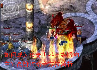 ��γ�Ϊ����������ά��������߽׹���ȫ��λ����