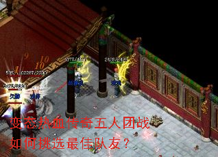 ��̬��Ѫ����������ս�����ѡ��Ѷ��ѣ�