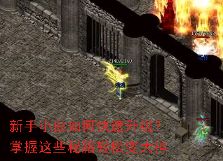 ����С����ο���������������Щ�ؼ����ɱ����