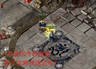 170金币传世秘笈:新手如何快速进阶? 170金币传世秘笈:新手如何快速进阶?