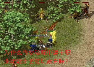 Ϊʲô����˽���е�ʿְҵ��սʿ�������������