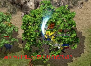 ������ø�������������ɫ�ȼ���