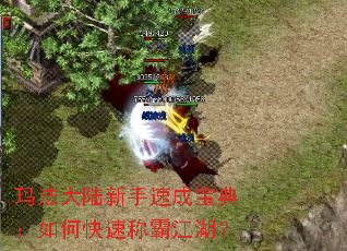 �귨��½�����ٳɱ��䣺��ο��ٳưԽ�����