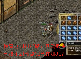 ������˾��ָ·����������߱���ˢ�µ㾿�����Ķ���