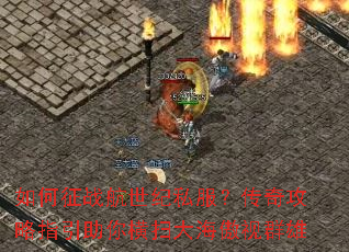 �����ս������˽�������湥��ָ�������ɨ�󺣰���Ⱥ��