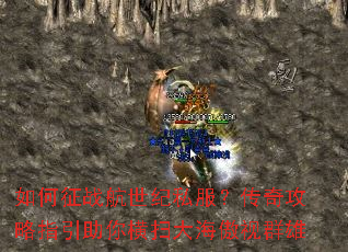 �����ս������˽�������湥��ָ�������ɨ�󺣰���Ⱥ��