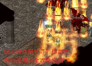 ��Ʒ����δ�Ѱ����Ѫ����˽����Ʒȫ����ָ��