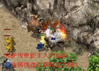 3GSF������������ָ�ϣ���ο��ٳư��귨��½��