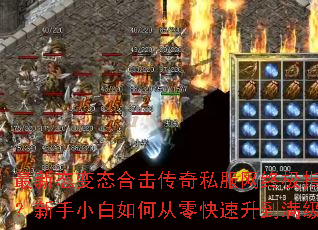 ����̬��̬�ϻ�����˽�����ռ�ָ�ϣ�����С����δ����������������