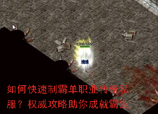 ��ο����ưԵ�ְҵ����˽����Ȩ����������ɾͰ�ҵ