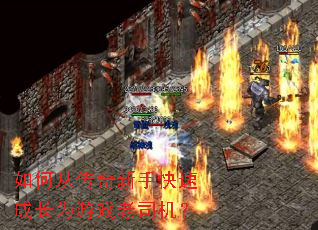 ��δӴ������ֿ��ٳɳ�Ϊ��Ϸ��˾����