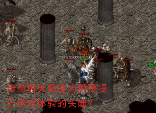 ��������Ƶ��Ϊ����������Ϸ����Ĺؼ���