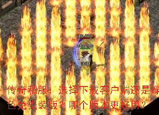 ����˽����ѡ�����ؿͻ��˻�����ɫ�ⰲװ�棿�ĸ��汾�����ã�