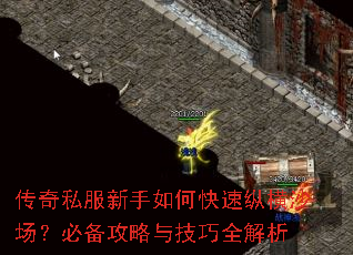 ����˽��������ο����ݺ�ɳ�����ر������뼼��ȫ����