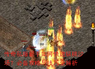 ����˽��������ο����ݺ�ɳ�����ر������뼼��ȫ����