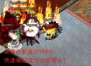 ������·�SF999�п��������Ϊɳ�ǰ�����