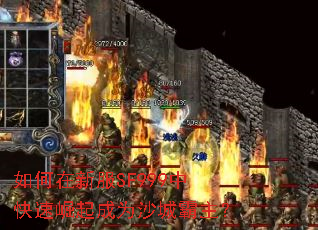 ������·�SF999�п��������Ϊɳ�ǰ�����