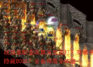 ս�ǵ�ְҵ���޵���ô������Щ����BOSS��װ������ȫ֪��