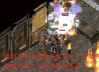 ս�ǵ�ְҵ���޵���ô������Щ����BOSS��װ������ȫ֪��