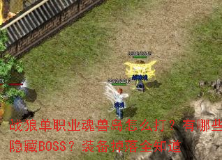 ս�ǵ�ְҵ���޵���ô������Щ����BOSS��װ������ȫ֪��