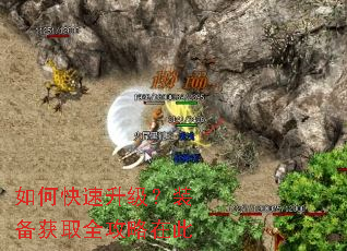 ��ο���������װ����ȡȫ�����ڴ�