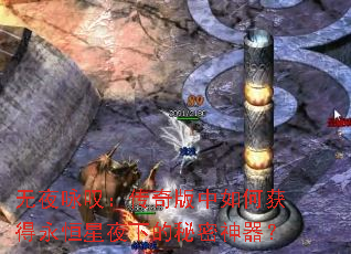 ��ҹӽ̾�����������λ��������ҹ�µ�����������