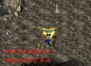 ���������ν��ף��������������