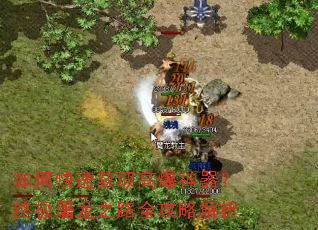 ��ο��ٻ�ȡ�߱��������ռ�����֮·ȫ���Խ���