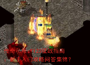 ����˽��sf123��սָ�ϣ��������Ź����ʴ𼯽���