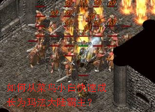 ��δӲ���С�׿��ٳɳ�Ϊ�귨��½������