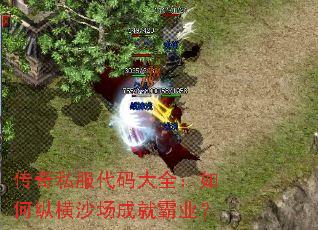 传奇私服代码大全:如何纵横沙场成就霸业? 传奇私服代码大全:如何纵横沙场成就霸业?