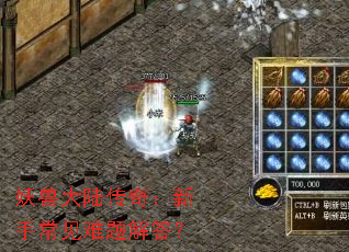 ���޴�½���棺���ֳ���������