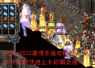 ����65535���鿪�����ԣ�������ο������ֳư�ȫ����