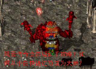 ���ƴ����̬�����ֹ��ԣ���δ�С�׿��ٽ��׳�Ϊ���У�