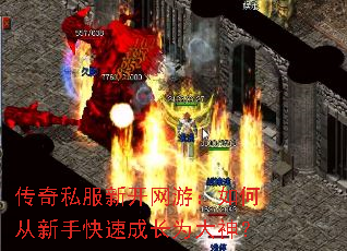 ����˽���¿����Σ���δ����ֿ��ٳɳ�Ϊ����