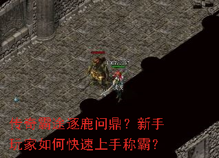 传奇霸途逐鹿问鼎?新手玩家如何快速上手称霸? 传奇霸途逐鹿问鼎?新手玩家如何快速上手称霸?
