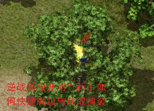 逆战新服开测?新手如何快速满级与获取神装 逆战新服开测?新手如何快速满级与获取神装