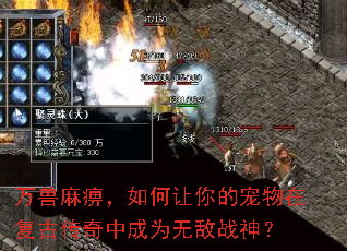 万兽麻痹,如何让你的宠物在复古传奇中成为无敌战神? 万兽麻痹,如何让你的宠物在复古传奇中成为无敌战神?