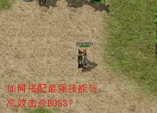 ��δ�����ǿ�������Ч��ɱBOSS��