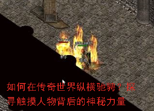 ����ڴ��������ݺ�۳ң�̽Ѱ�������ﱳ�����������