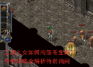 ������Ů��δ�������·�����湥��ȫ��������ѯ��