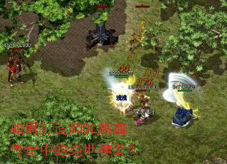 ��δ���WOOL��Ѫ�����еľ�����װ��