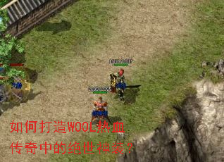 ��δ���WOOL��Ѫ�����еľ�����װ��