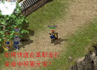 如何快速在单职业打金服中积累元宝? 如何快速在单职业打金服中积累元宝?