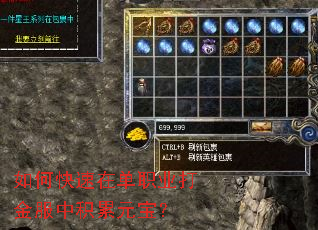 如何快速在单职业打金服中积累元宝? 如何快速在单职业打金服中积累元宝?