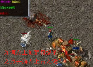 如何踏上仙梦奇缘的寻仙之旅并解开上古之谜? 如何踏上仙梦奇缘的寻仙之旅并解开上古之谜?
