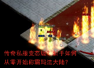 ����˽����̬�棿������δ��㿪ʼ�ư��귨��½��