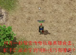 刚开一秒微变传奇私服英雄合击,新手玩家必学的制胜技巧有哪些? 刚开一秒微变传奇私服英雄合击,新手玩家必学的制胜技巧有哪些?